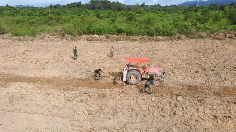 Dukung Program Ketahanan Pangan,Spotmar Lanal Kendari manfaatkan lahan kosong.