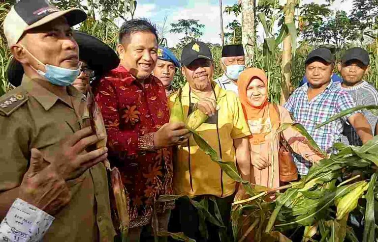 Perdana di Publik, Pasangan Rusman-Bachrun Tampil Bersama  di Pesta Panen Jagung